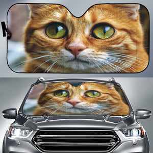 Cute Kitten Auto Sun Shades