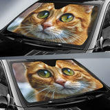 Cute Kitten Auto Sun Shades