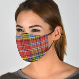 Classic Tartan Luxurious Design Two Protection Face Mask